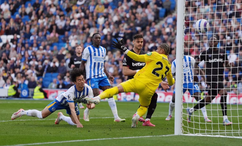 Brighton & Hove Albion 2025/26 Season Preview