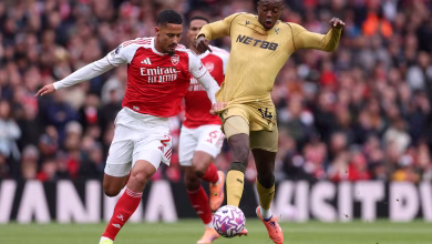 Arsenal vs Brighton: Can Anyone Stop the Gunners? 