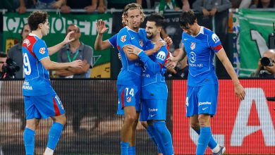 Vibrant soccer players celebrating a goal during an athletic match on the field, showcasing teamwork and sportsmanship, with a lively crowd in the background.