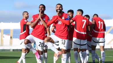 African Drama: Pharaohs Qualify, Stallions and Niger Charge Forward