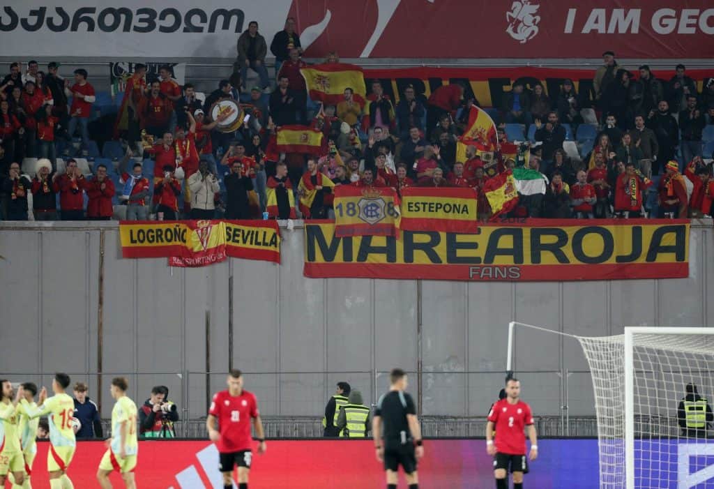 Fan cheering in stadium with flags and banners, supporting football team.