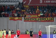 Fan cheering in stadium with flags and banners, supporting football team.