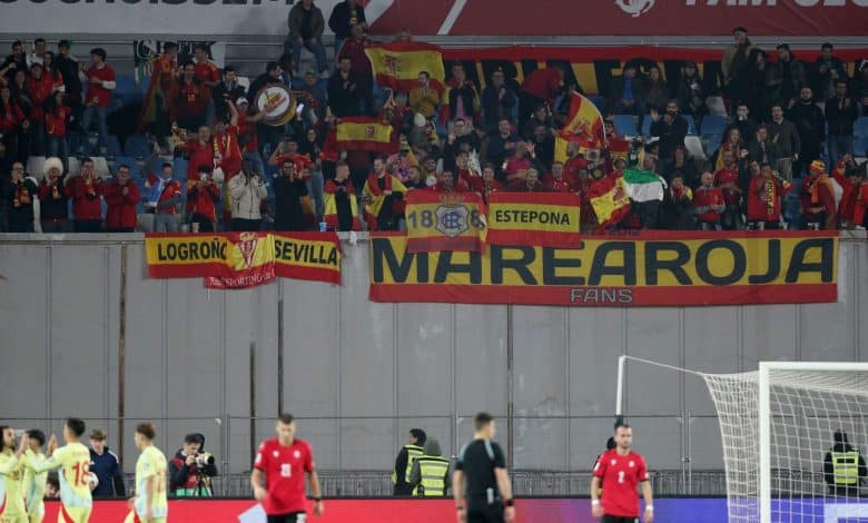 Fan cheering in stadium with flags and banners, supporting football team.